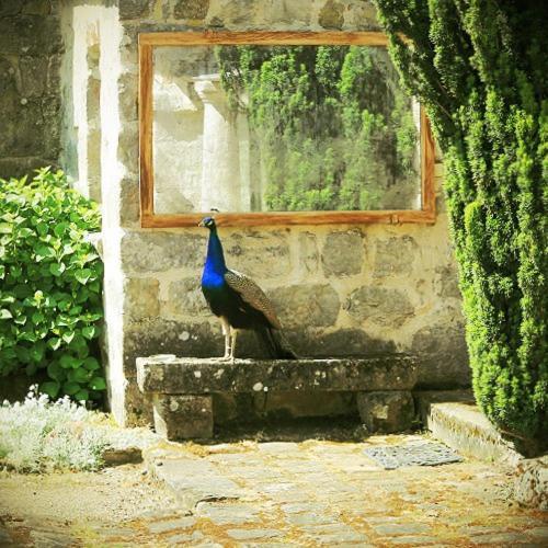 Domaine De Frevent Bed & Breakfast Echouboulains Dış mekan fotoğraf